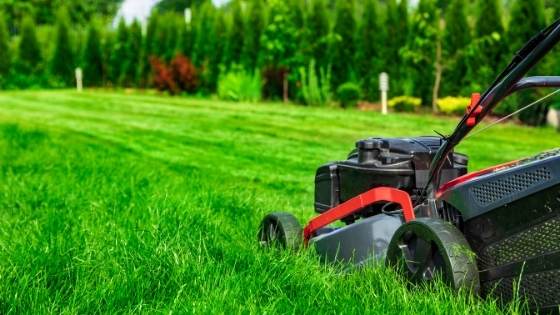 Your lawn is one of the first things people see about your property. Here's how you can make sure your lawn looks great.