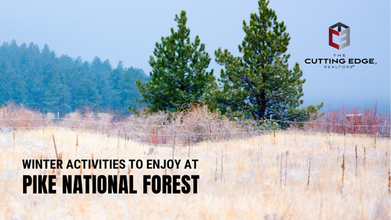 Pike National Forest